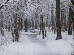 От +6°С до -7°С: как изменится погода в Подмосковье на предстоящей неделе